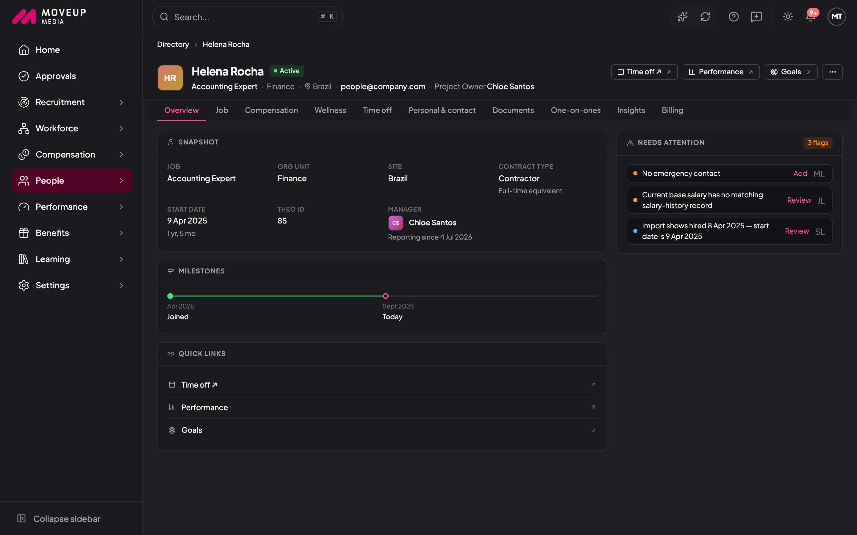 Employee profile with milestones and flags that need attention (anonymized data)